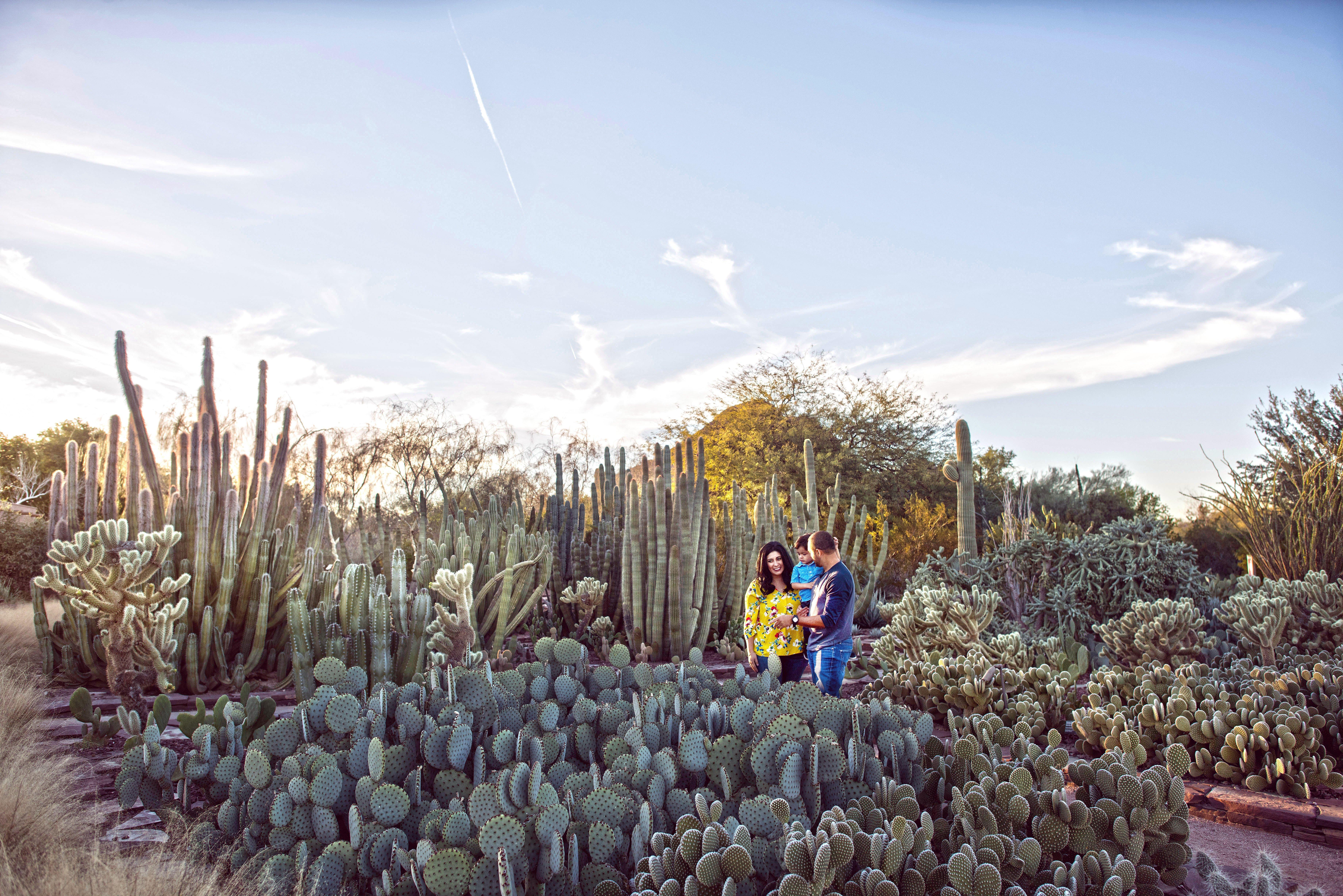 Holiday Inn Express & Suites - Phoenix - Airport North By Ihg Bagian luar foto